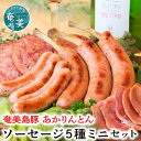 【ふるさと納税】 ソーセージ 5種 ミニセット 食べ比べ 奄美産 島豚 あかりんとん ボンレスハム ボロニアソーセージ ジャンボフランクソーセージ ホワイトソーセージ スモークソーセージ