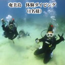 楽天鹿児島県奄美市【ふるさと納税】ダイビング 1名様分 奄美島 体験ダイビング 体験 チケット アクティビティ 海 マリンアクティビティ ボート 2.5時間 要予約 1日6名様限定 鹿児島県 奄美市 アクティビティ 運動 スポーツ マリンスポーツ 送料無料