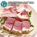 【ふるさと納税】 豚肉 2kg スネ肉 奄美大島産 島豚 肉 豚 ポーク すね コラーゲン おでん 煮込み料理 カレー 人気 お取り寄せ お取り寄せグルメ おすすめ 食品 食べ物 精肉 冷凍 送料無料 奄美大島 鹿児島県