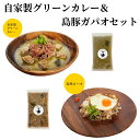 【ふるさと納税】カレー グリーンカレー 250g 島豚 ガパ