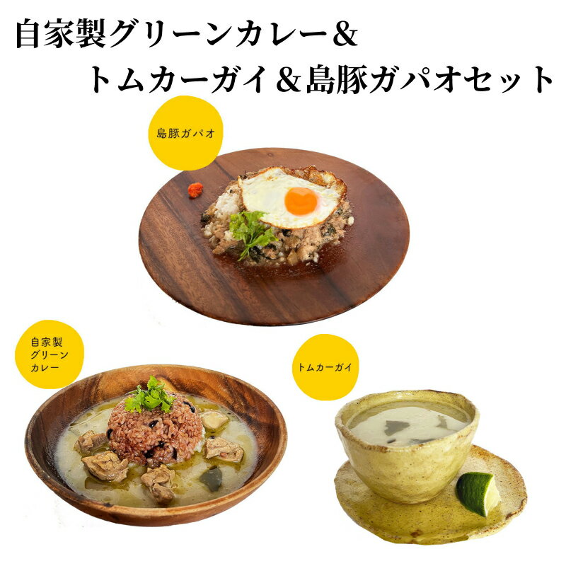 【ふるさと納税】カレー グリーンカレー 250g ガパオ 島豚 トムカーガイ 鶏肉 生姜 ココナッツミルク スープ 甘くて辛いココナッツミルクの自家製グリーンカレー 奄美大島 鹿児島 冷凍 お取り…