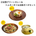 【ふるさと納税】カレーグリーンカレ...