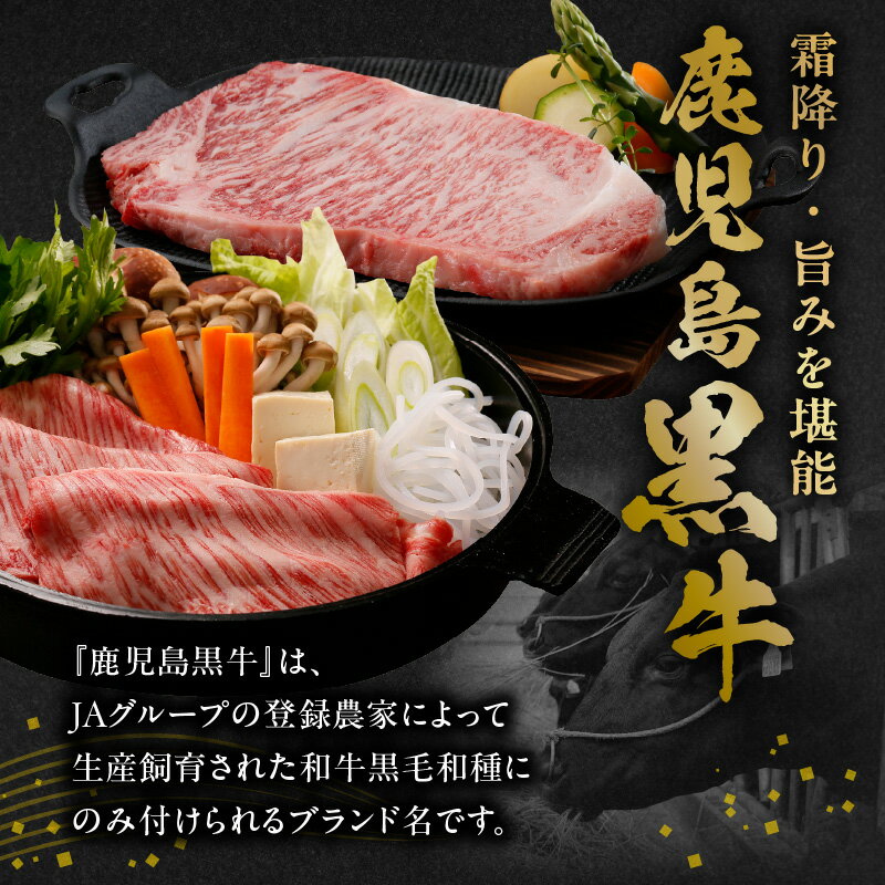 鹿児島県南九州市の画像3