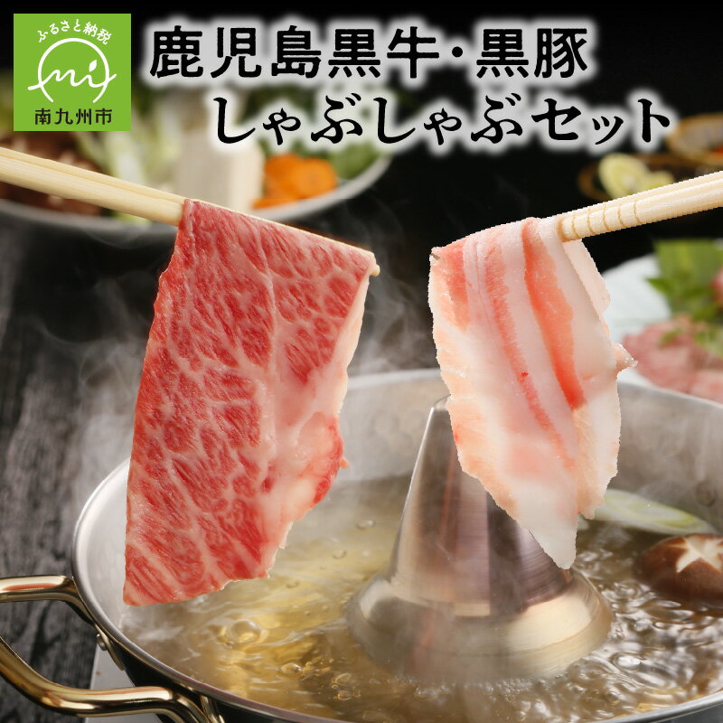 肉セット 【ふるさと納税】鹿児島黒牛・黒豚しゃぶしゃぶセット