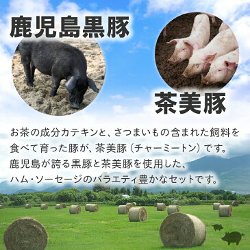 【ふるさと納税】鹿児島の黒豚と茶美豚を原料に仕上げた加工品セット　JA-11