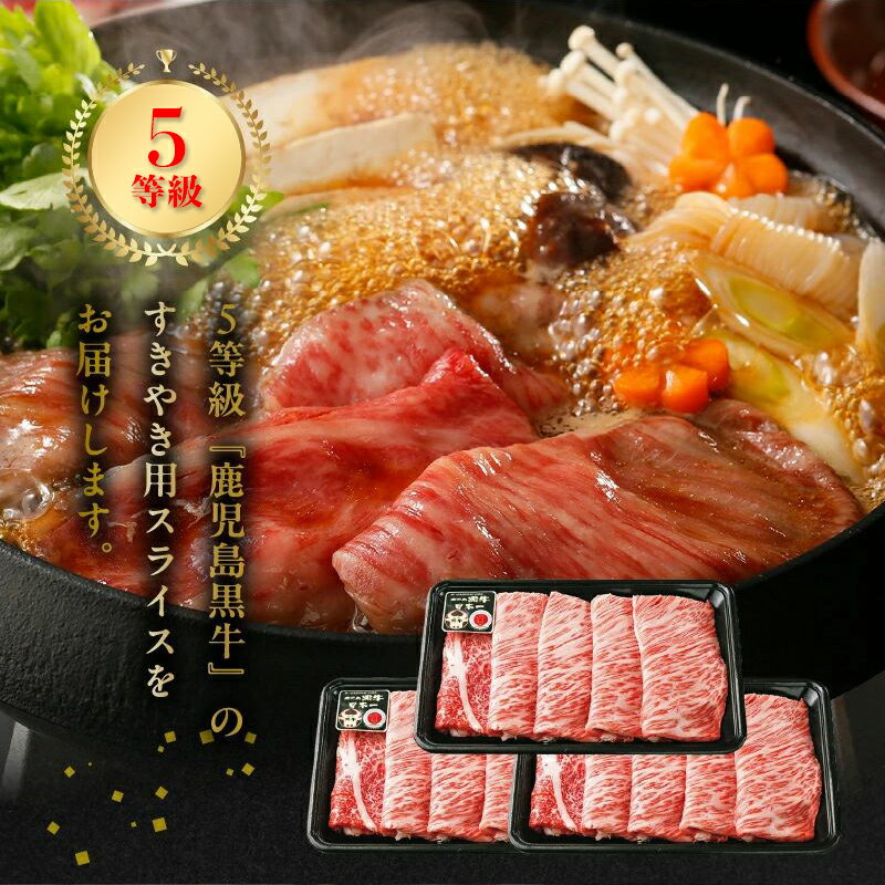 鹿児島県南九州市の画像2