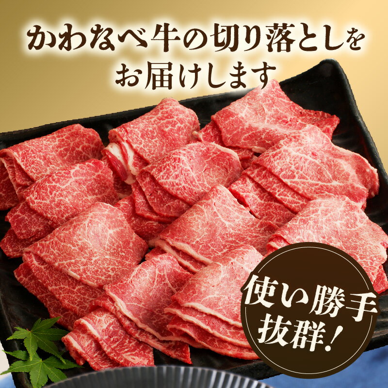 鹿児島県南九州市の画像2