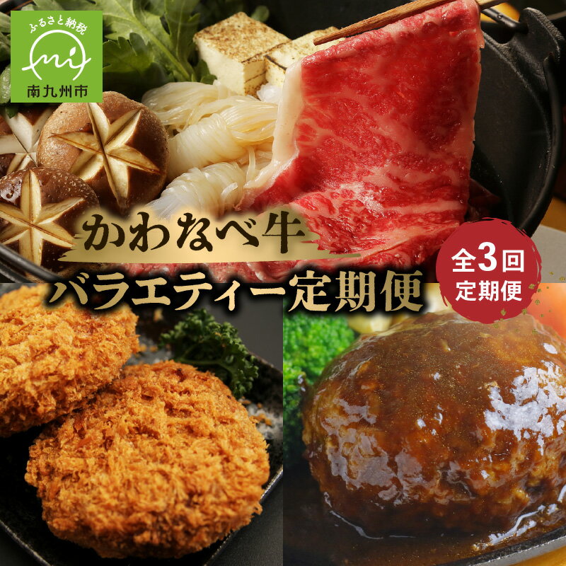 全3回 かわなべ牛 黒豚 バラエティー 定期便 薄切り 合挽き ハンバーグ 焼肉 コロッケ ロース メンチカツ 黒毛和牛 牛肉 豚肉 加工品 便利 簡単調理 救世主 味付き お取り寄せ グルメ 鹿児島県産 南九州市 送料無料