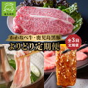 【ふるさと納税】全3回 かわなべ牛 鹿児島 黒豚 よりどり 定期便 肉 お肉 牛肉 豚肉 焼肉 しゃぶしゃぶ サーロイン ステーキ 牛ロース 黒毛和牛 薄切り ...