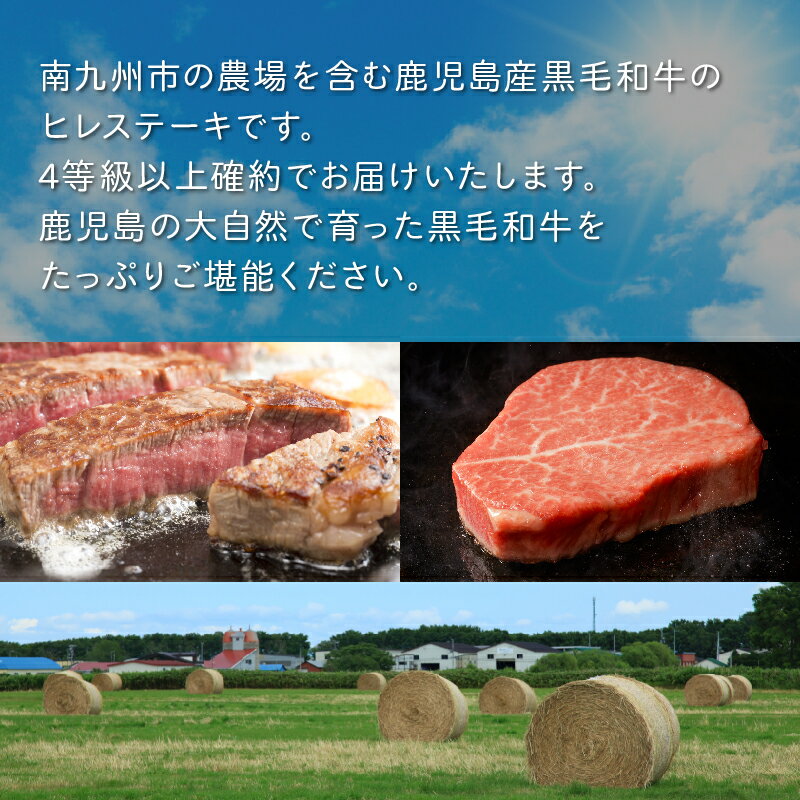 鹿児島県南九州市の画像3