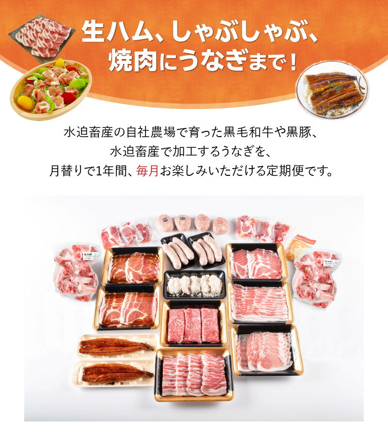 鹿児島県南九州市の画像2