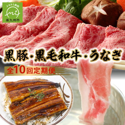 定期便 10回 鹿児島 黒毛和牛 黒豚 うなぎ 豚肉 牛肉 肉 生ハム 切落し 和牛 すき焼き ロースステーキ ハンバーグ ソーセージ しゃぶしゃぶ 生姜焼き 合挽メンチ カルビ 味噌ホルモン ホルモン プルコギ お取り寄せ 鹿児島県 南九州市 送料無料