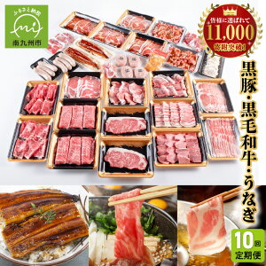 【ふるさと納税】定期便 10回 鹿児島 黒毛和牛 黒豚 うなぎ 豚肉 牛肉 肉 生ハム 切落し 和牛 すき焼き ロース ステーキ ハンバーグ ソーセージ しゃぶしゃぶ 生姜焼き 合挽メンチ カルビ 味噌ホルモン ホルモン お取り寄せ グルメ 鹿児島県 南九州市 送料無料