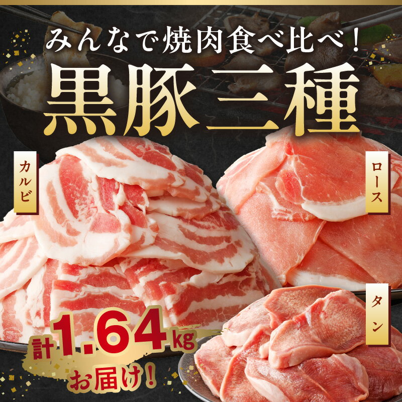 鹿児島県南九州市の画像2