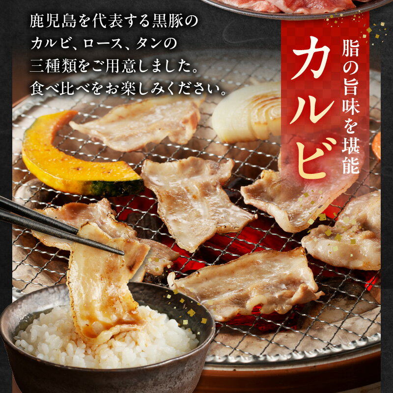 鹿児島県南九州市の画像3