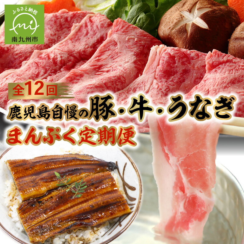 生ハム、しゃぶしゃぶ、焼肉にうなぎまで！ 水迫畜産の自社農場で育った黒毛和牛や黒豚、水迫畜産で加工するうなぎを月替りで1年間毎月お楽しみいただける定期便です。 お申込み翌月から、全12回毎月1年間お届けいたします。 商品説明 名称 牛肉、豚肉、うなぎ 原材料 鹿児島県産黒毛和牛 国産黒毛和牛 鹿児島県産黒豚 鹿児島県産豚 鹿児島県産うなぎ 内容量 【1月】黒豚生ハム切落し100g×5 【2月】和牛すき焼300g、黒豚生ハム100g×1、黒豚ソーセージ150g 【3月】鹿児島県産豚生姜焼250g×2、黒豚生ハム100g×1、黒豚ソーセージ150g 【4月】鹿児島県産豚しゃぶしゃぶ230g×2、黒豚生ハム100g×1、黒豚ソーセージ150g 【5月】黒豚ハンバーグ150g×4、黒豚生ハム100g×1、黒豚ソーセージ150g 【6月】鹿児島県産有頭うなぎ蒲焼き約140g×2尾 【7月】和牛黒豚ハンバーグ150g×4、黒豚生ハム100g×1、黒豚ソーセージ150g 【8月】鹿児島県産豚カルビ250g、黒豚ロース250g、国産牛味噌ホルモン焼肉セット100g 【9月】鹿児島県産豚/和牛合挽メンチ40g×6個、黒豚生ハム100g×1、黒豚ソーセージ150g 【10月】和牛カレーシチュー用肉450g×2 【11月】黒豚ハンバーグ150g×4、黒豚生ハム100g×1、黒豚ソーセージ150g 【12月】黒毛和牛レトルトカレー200g×4 賞味期限・保存方法 1月は360日、うなぎは加工日から90日、その他は240日、別途記載 提供者 【有限会社水迫畜産】 〒891-0201 鹿児島県鹿児島市喜入瀬々串町298-1 ・寄附申込みのキャンセル、返礼品の変更・返品はできません。あらかじめご了承ください。 ・ふるさと納税よくある質問はこちら地場産品基準2号　市内で生産された原料（黒豚，黒毛和牛など）を使用し，市外で加工した製品です。￥100,000 詳細はこちら ￥100,000 詳細はこちら ￥150,000 詳細はこちら ￥150,000 詳細はこちら ご寄附ありがとうございます！リアルタイム注文状況