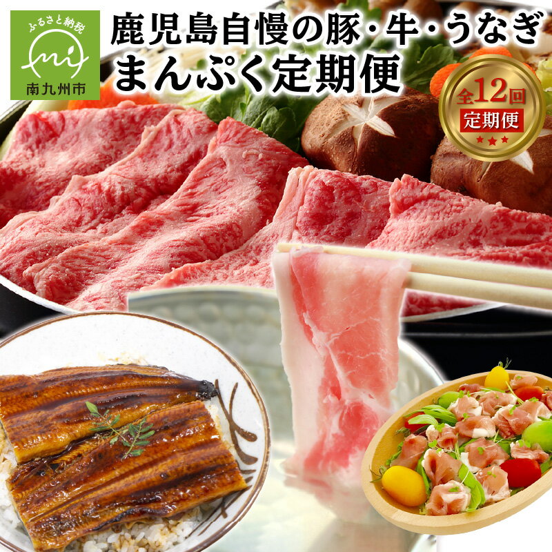【ふるさと納税】【全12回】鹿児島自慢の豚・牛・うなぎ まんぷく定期便のサムネイル