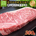 【ふるさと納税】5等級黒毛和牛サーロインステーキ300g