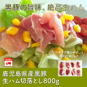 【ふるさと納税】鹿児島産黒豚生ハム切落とし800g