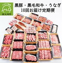 【ふるさと納税】定期便 10回 鹿児島 黒毛和牛 黒豚 うなぎ 豚肉 牛肉 肉 生ハム 切落し 和牛 すき焼き ロースステーキ ハンバーグ ソ..