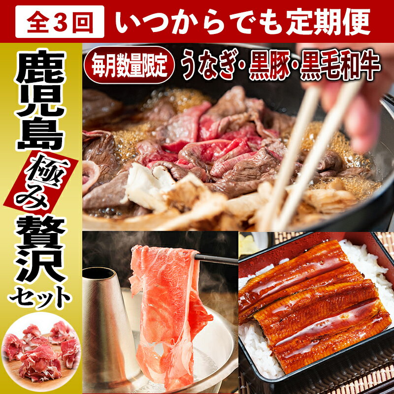 【ふるさと納税】定期便 全3回 いつでも始められる 黒毛和牛 黒豚 うなぎ 黒豚生ハム 鹿児島極み贅沢セット バラ ロース しゃぶしゃぶ 食べ比べ 食品 食べ物 お取り寄せ お取り寄せグルメ 鹿児島県 南九州市 送料無料