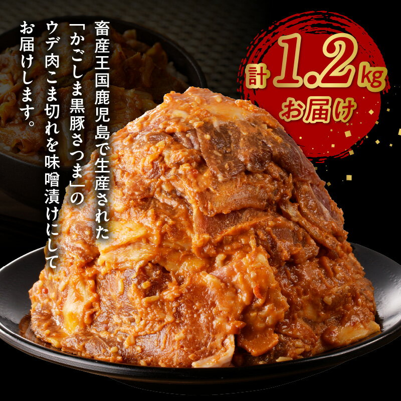 鹿児島県南九州市の画像3