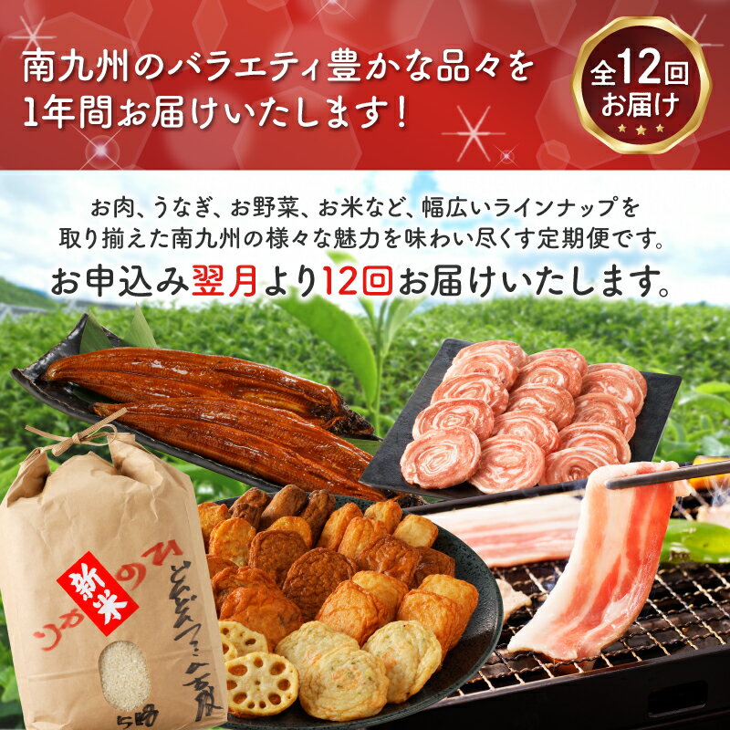 【ふるさと納税】南九州市まんぞく定期便2 定期便 全12回 南九州を味わい尽くす 詰め合せ 黒豚餃子 肉 お肉 お米 野菜 さつま揚げ アイス 茶美豚 うなぎ 知覧茶 緑茶 黒豚 しゃぶしゃぶ 焼肉用 ステーキ 炭火焼 モモ肉 切り落とし お取り寄せ 鹿児島県 南九州市 送料無料