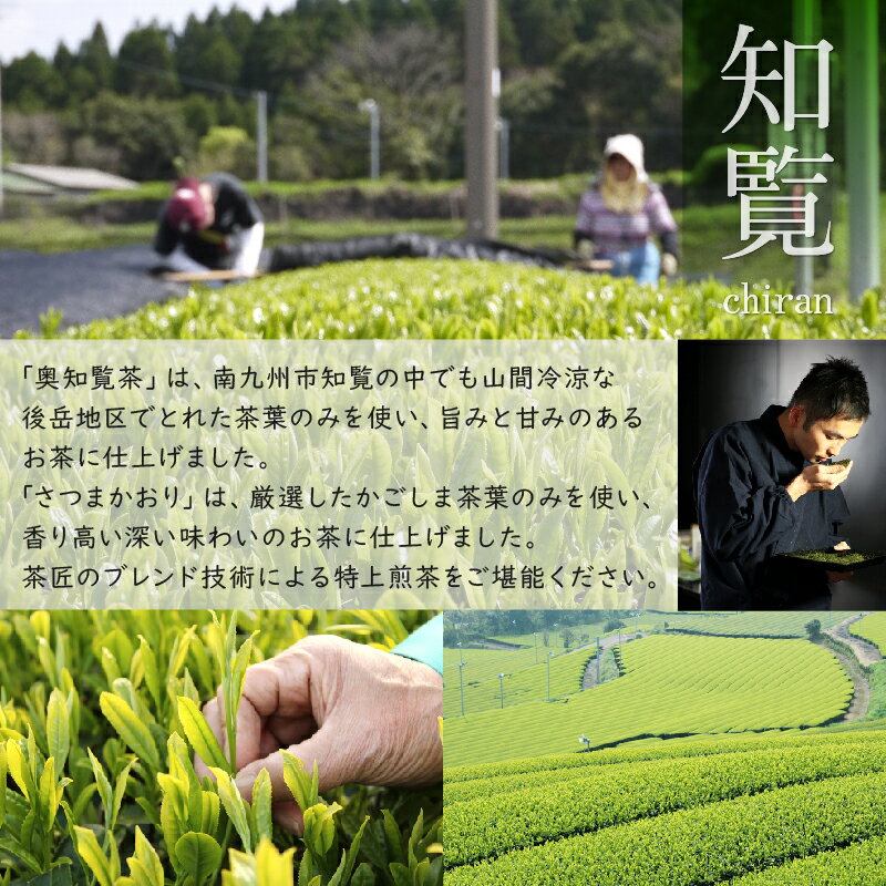 【ふるさと納税】奥知覧茶と鹿児島茶 高級煎茶セット