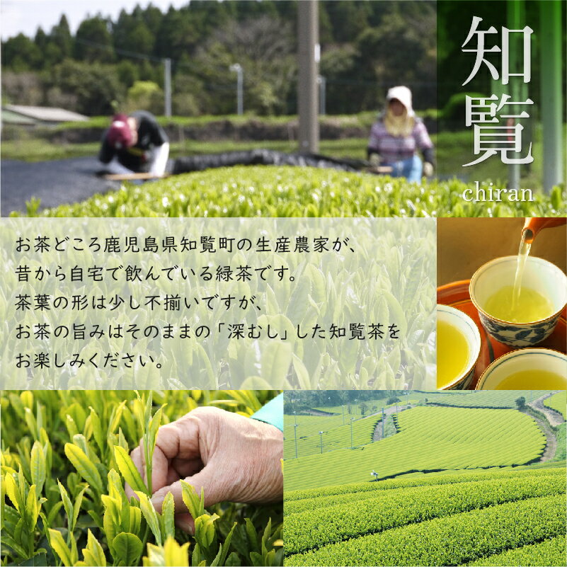 【ふるさと納税】知覧茶農家が自宅で飲むこだわりのお茶8本セット