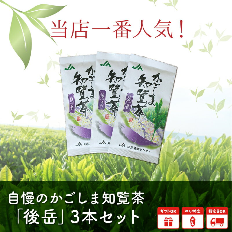 鹿児島県南九州市の画像2