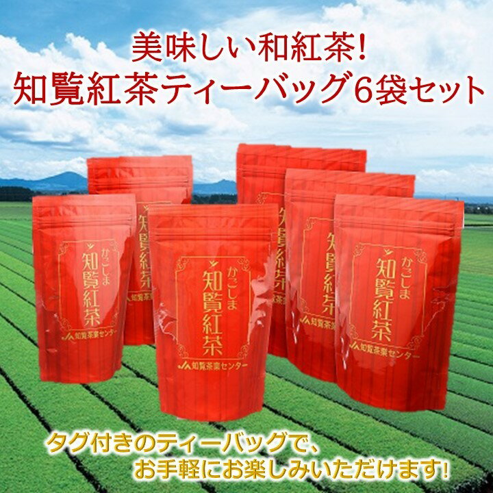 【ふるさと納税】和紅茶 知覧紅茶 ティーバッグ 3g × 20個入 6袋 セット 紅ふうき スッキリした後味 驚くほどの美味しさ 南九州市知覧産 緑茶品種 ブレンド紅茶 タグ付き 紅茶 お取り寄せ 鹿児島県 南九州市 送料無料