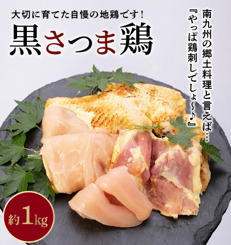 鹿児島県南九州市の画像3