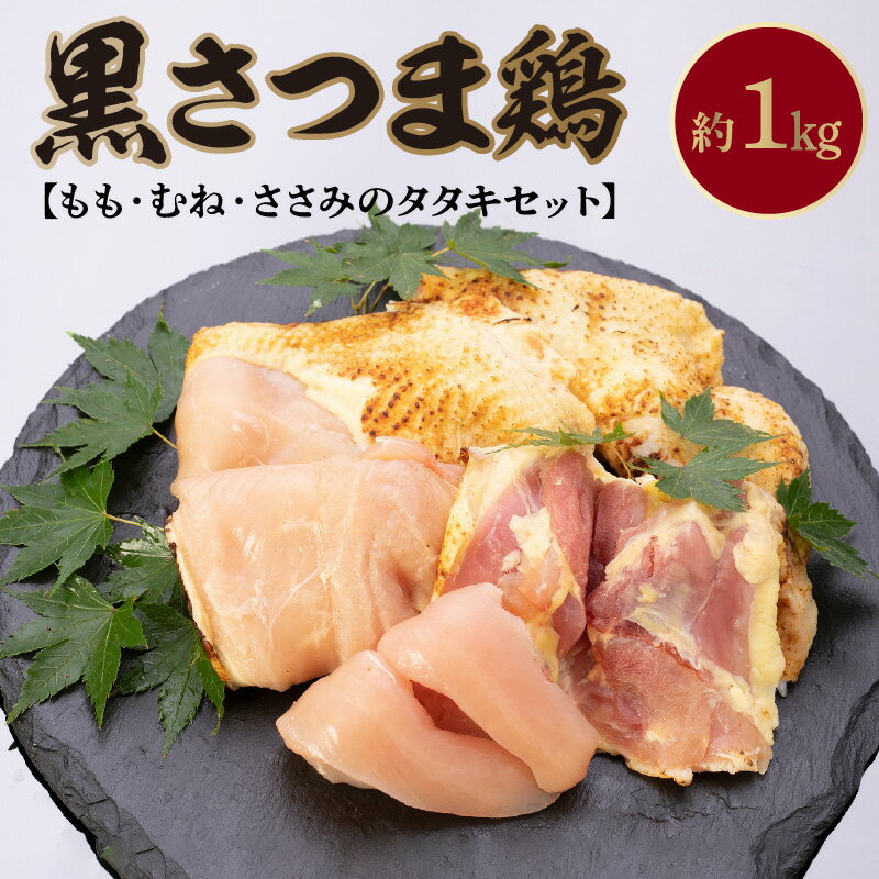 黒さつま鶏 もも むね ささみ タタキ 約 1kg さしみ醤油 100ml セット 地鶏 鶏刺し 食べ比べ 刺身 旨味 おつまみ お肉 冷凍 国産 鹿児島県南九州市産 鹿児島県 南九州市 お取り寄せ お取り寄せグルメ 送料無料