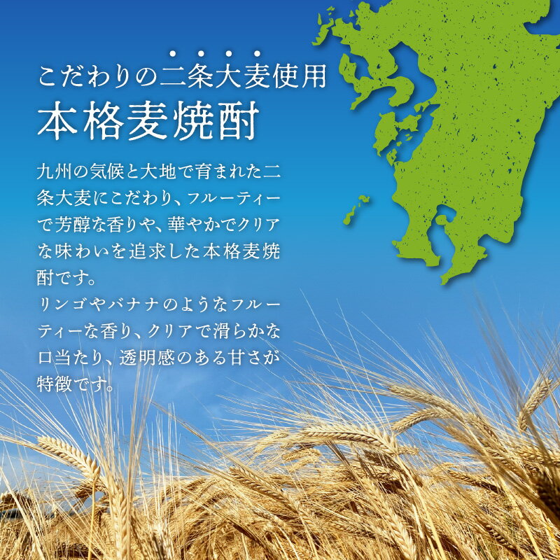 鹿児島県南九州市の画像3