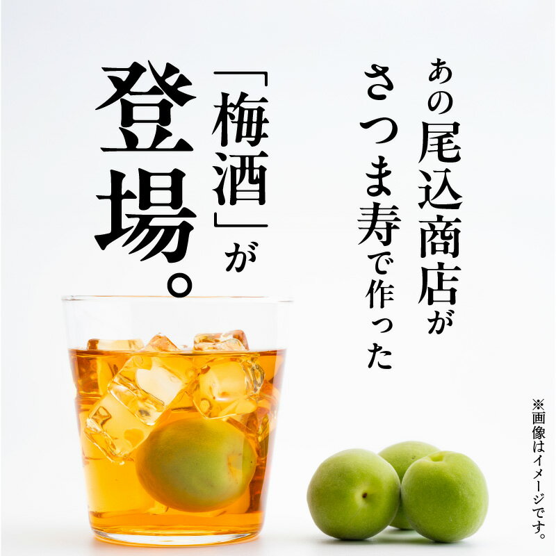 鹿児島県南九州市の画像2