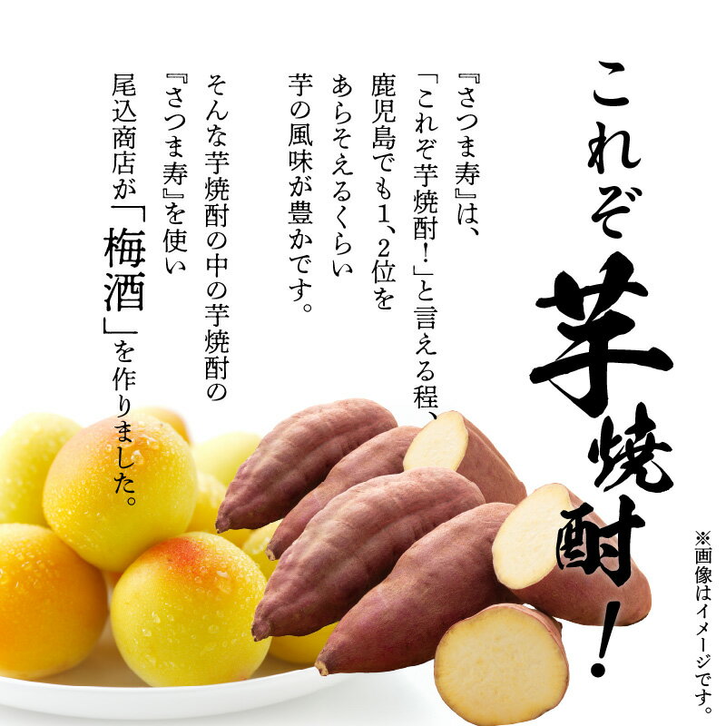 鹿児島県南九州市の画像3