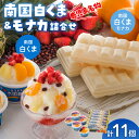 【ふるさと納税】鹿児島名物 南国 白くま & モナカ 詰合せ セット 南国白くま 180ml × 5個 南国白くまモナカ 120ml × 6個 アイス ご当地ア...