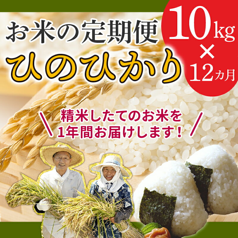 【ふるさと納税】【お米の定期便】鹿児島県産ひのひかり10kg×12か月！