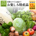 【ふるさと納税】 定期便 12回 旬 さつまいも 伝統菓子 牛肉 黒毛和牛 餃子 新茶 さつまあげ 芋 アイス みかん 新米 野菜 黒豚 しゃぶしゃぶ 食品 鹿児島県 南九州市 お取り寄せ お取り寄せグ…