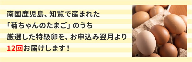 【ふるさと納税】毎月お届け!菊ちゃん厳選の特級卵定期便