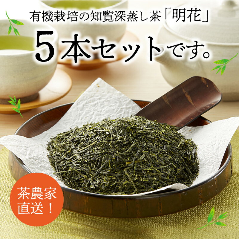 鹿児島県南九州市の画像2