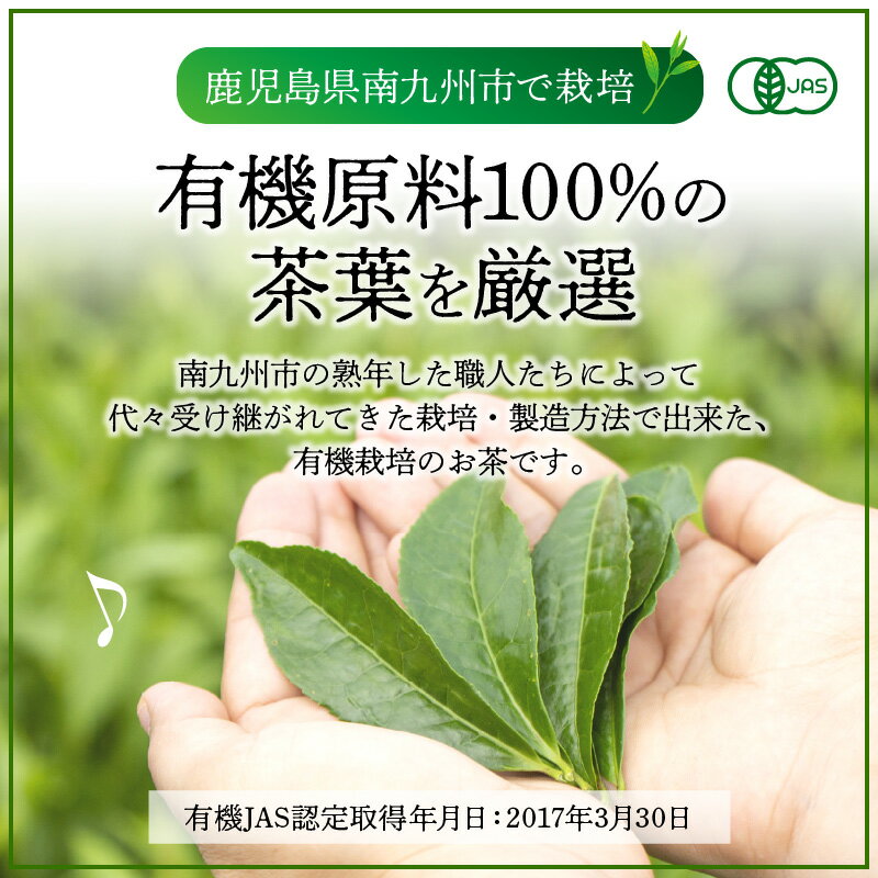 鹿児島県南九州市の画像3