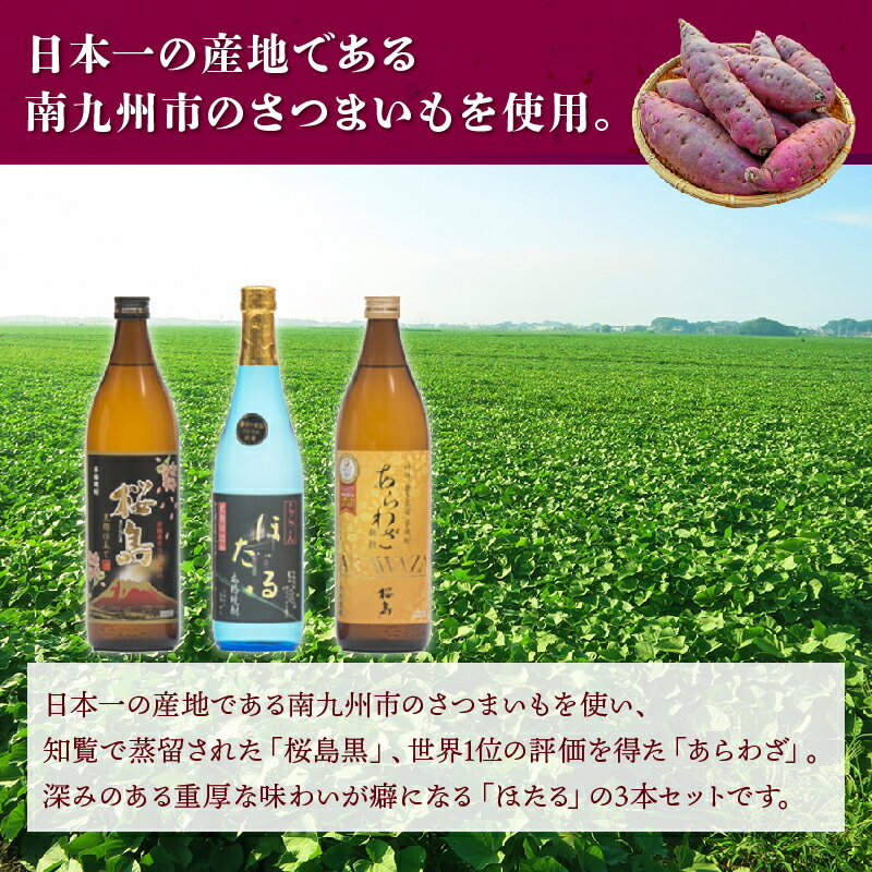 鹿児島県南九州市の画像3