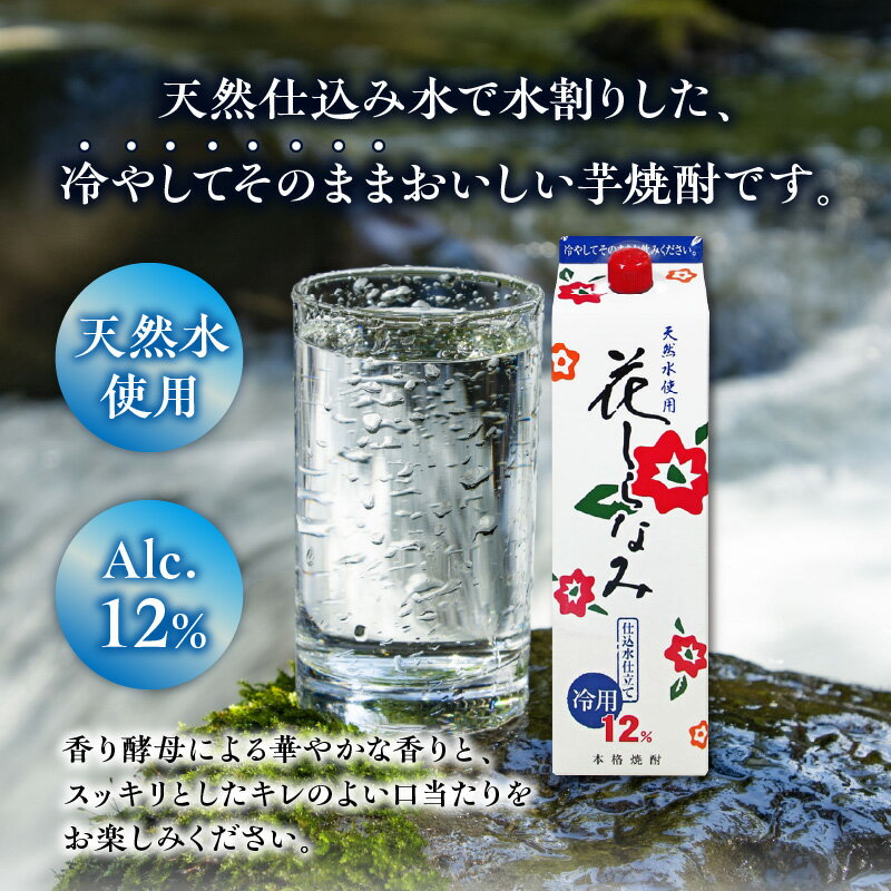 鹿児島県南九州市の画像2