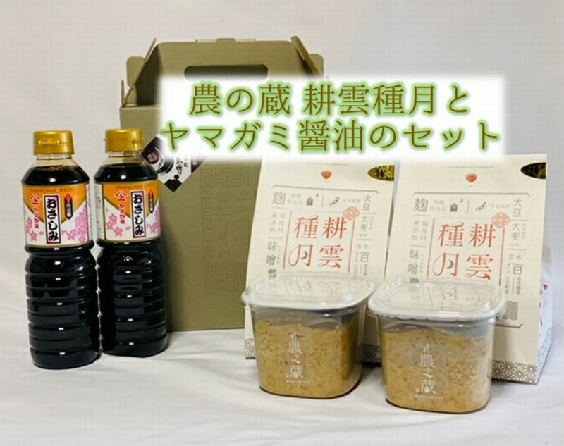 農之蔵 耕雲種月 ヤマガミさしみ醤油 セット 味噌 500g 2個 刺身用 しょうゆ 500ml 2本 詰め合わせ ふるさとの味 大豆 大麦 味噌汁 食づくり お取り寄せ グルメ 鹿児島県産 南九州市 送料無料