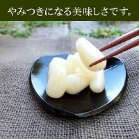 ふるさと納税 らっきょう 野菜 きのこ 鹿児島県産砂丘らっきょう漬け大容量セット 鹿児島県南九州市こだわりの無添加