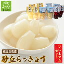 【ふるさと納税】鹿児島県産 砂丘 らっきょう プレミアム セット 3種類 塩漬け 甘酢漬け 5袋 しそ漬け 2袋 詰め合わせ 各90g 計 12袋 個包装 白宝らっきょう 白玉らっきょう カレー タルタルソース らっきょう漬け 国産 お取り寄せ グルメ 南九州市 送料無料