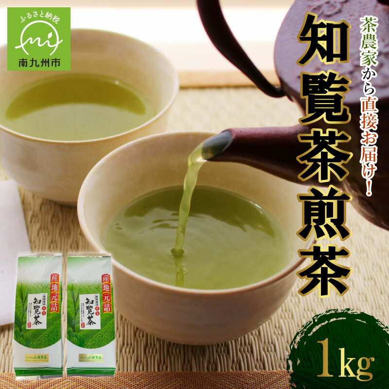 農林水産大臣賞受賞 知覧茶 煎茶 1kg 500g × 2 パック 茶農家から直接お届け 緑茶 てん茶 茶葉 お茶 ティータイム 美味しい 日本茶 国産 茶農家直送 産地元詰 お取り寄せ 小磯製茶 鹿児島県 南九州市 送料無料