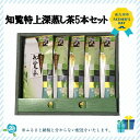 【ふるさと納税】【父の日に】知覧特上深蒸し茶5本セット