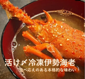 【ふるさと納税】活け〆冷凍伊勢海老 刺身と味噌汁